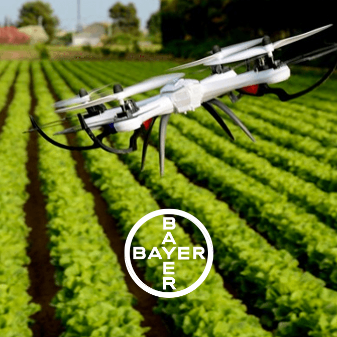 A drone flying over crop rows, with the Bayer logo