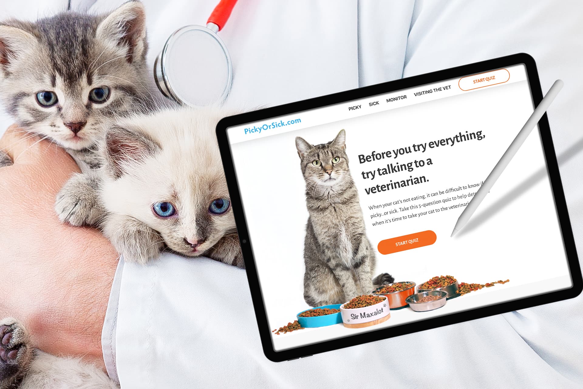 Pet telehealth website on a tablet beside two kittens