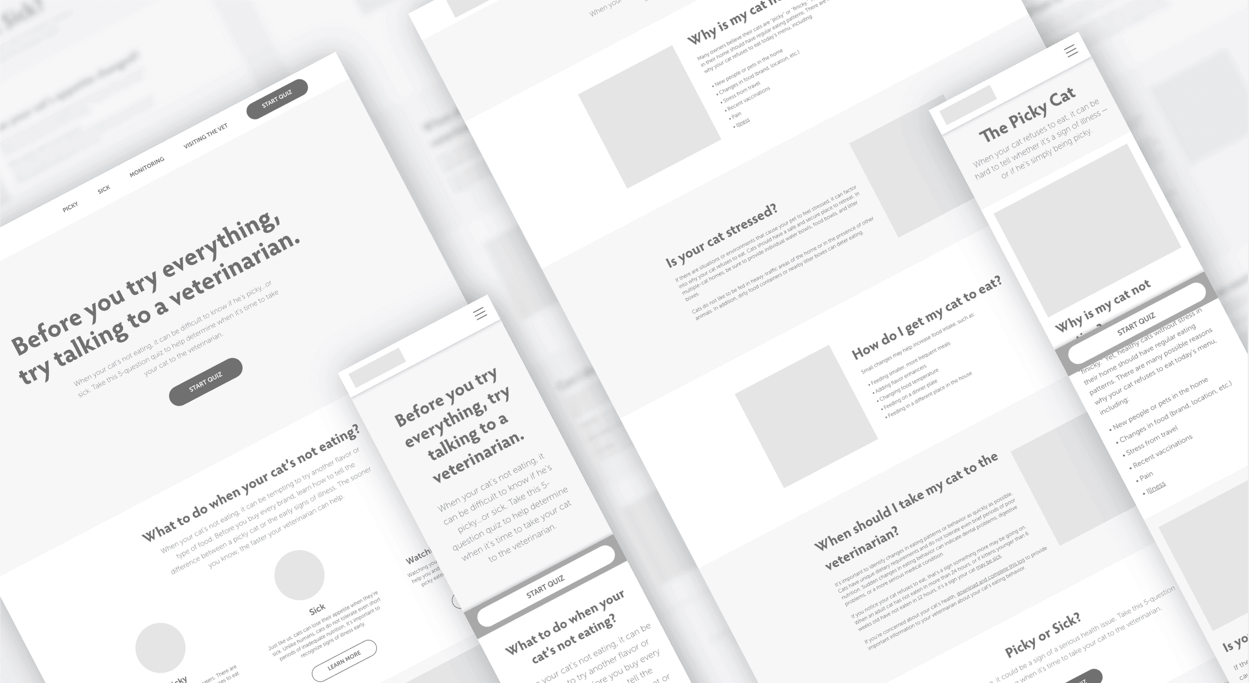 Picky cat website wireframes