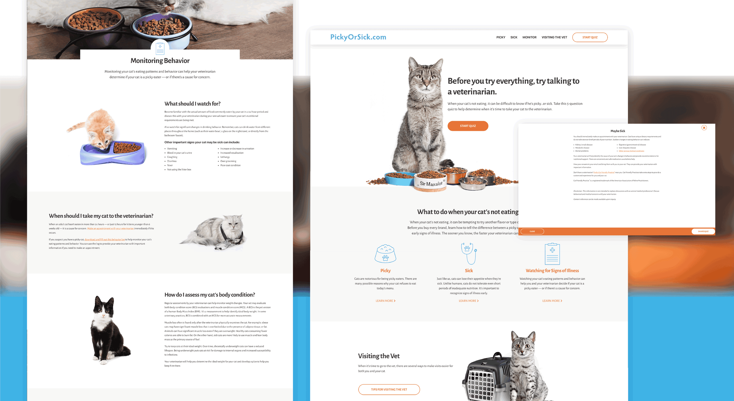 Picky cat website pages on desktop and mobile