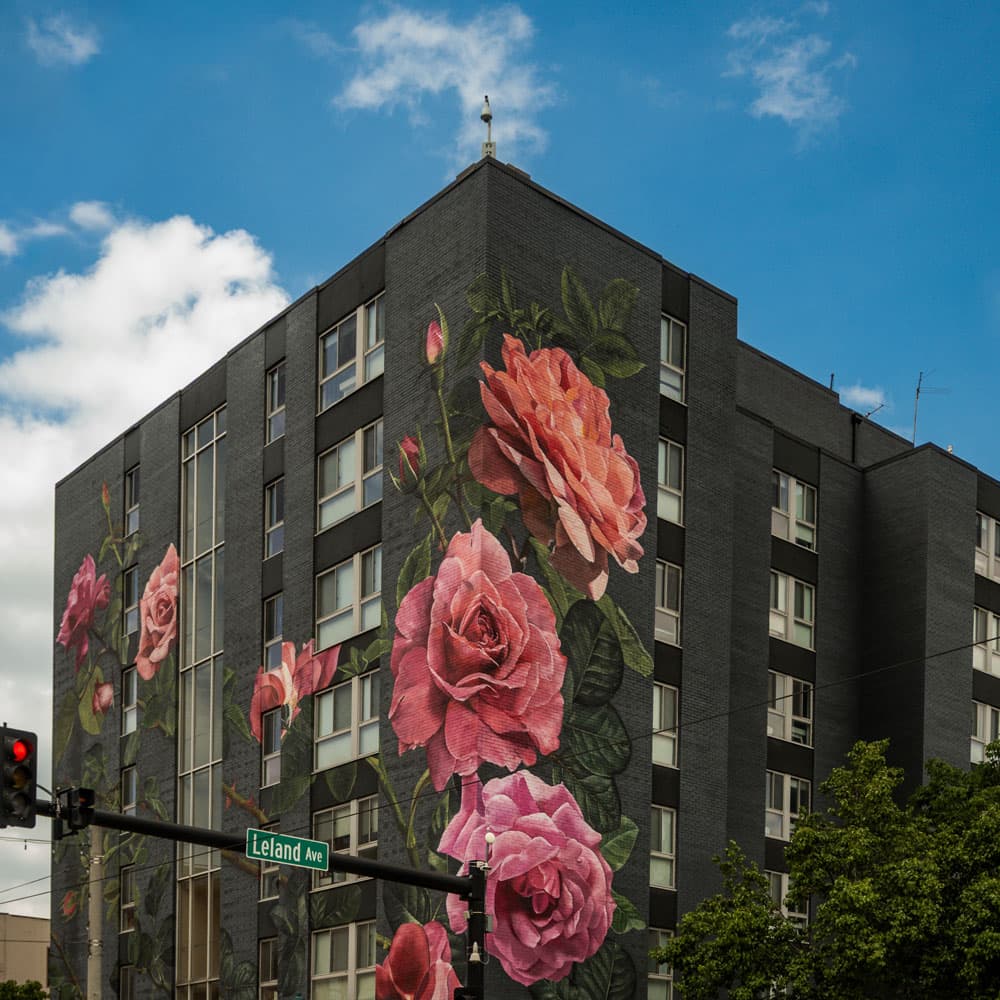 A building with a giant rose mural in the Delmar Loop
