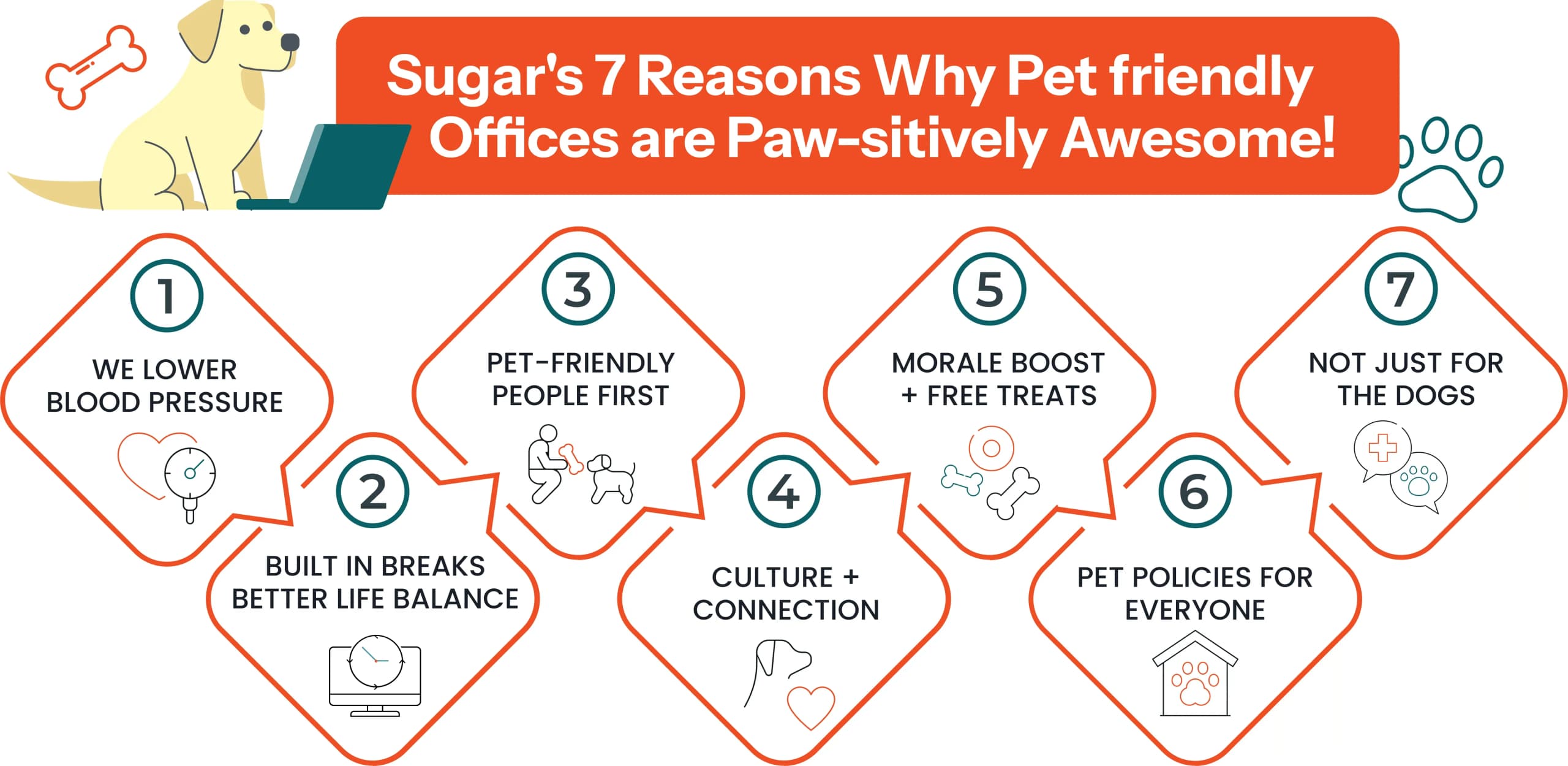 Sugar’s 7 reasons pet-friendly offices are awesome: lower blood pressure, built-in breaks, people first, culture and connection, morale boosts, policies for everyone, not just for the dogs